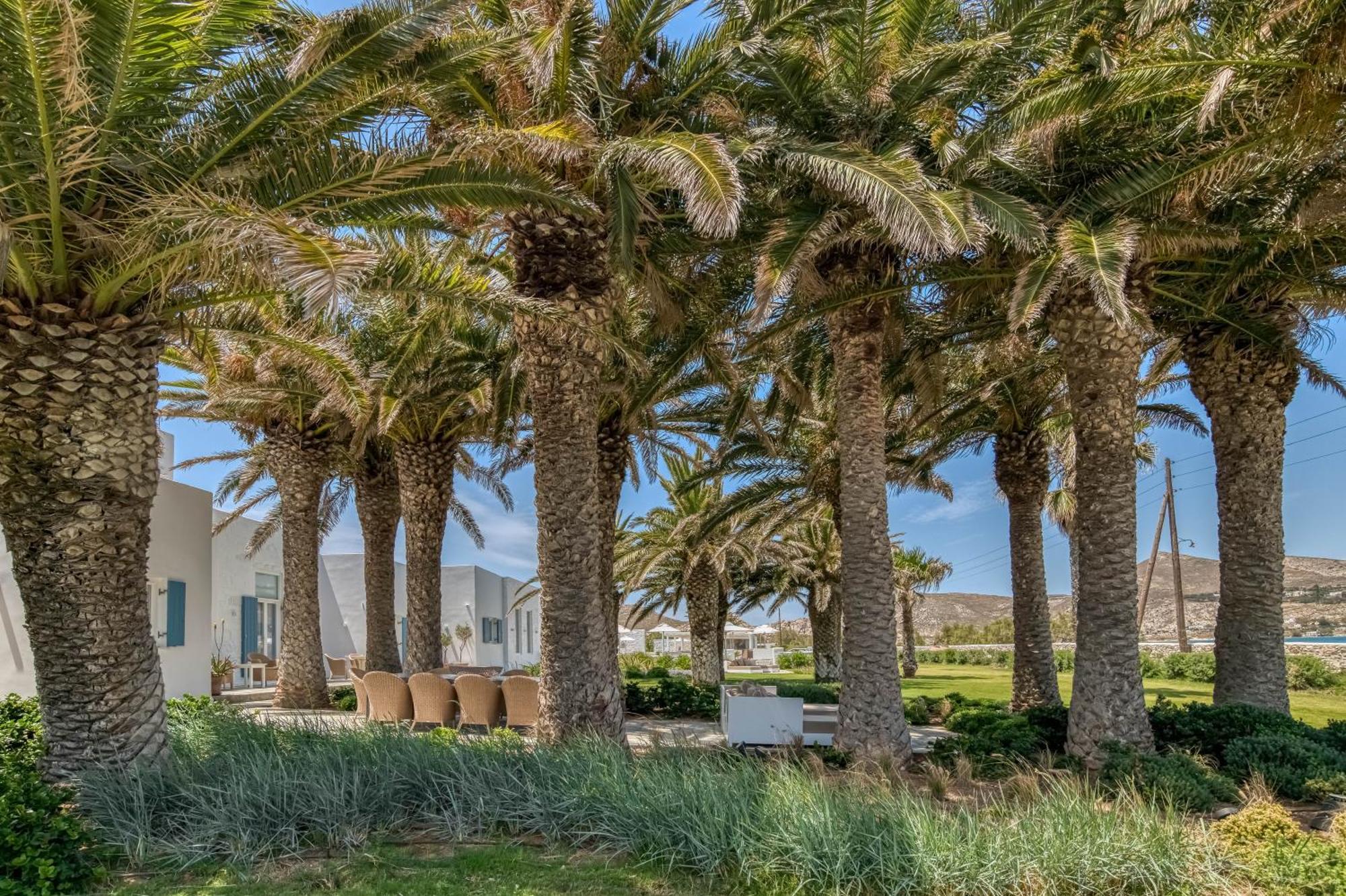 Villa Bellonia Nausa Exteriér fotografie